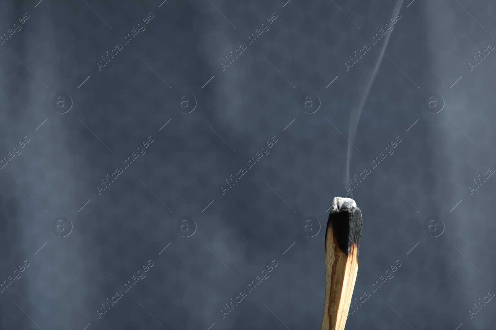 Photo of Smoldering palo santo stick against grey background, closeup. Space for text