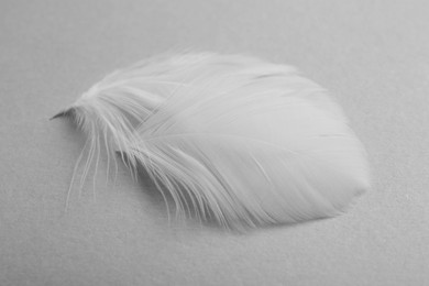 Photo of Beautiful fluffy feathers on light grey background, closeup