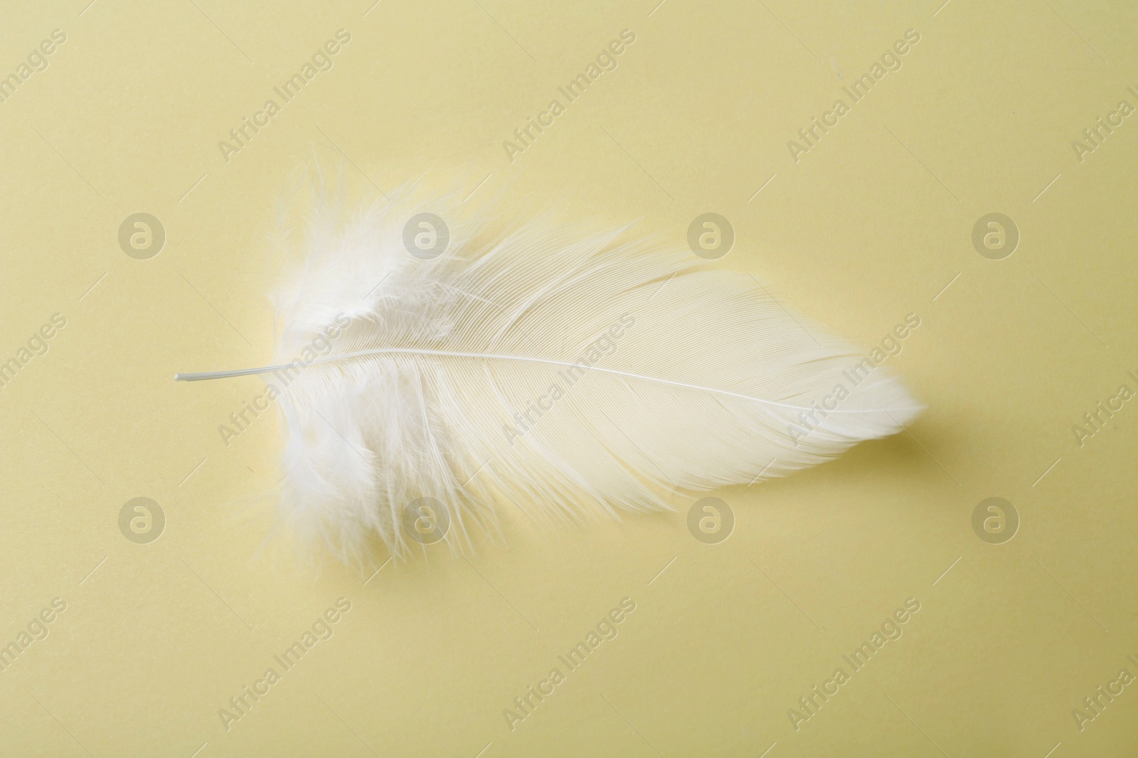 Photo of Beautiful fluffy feather on beige background, top view