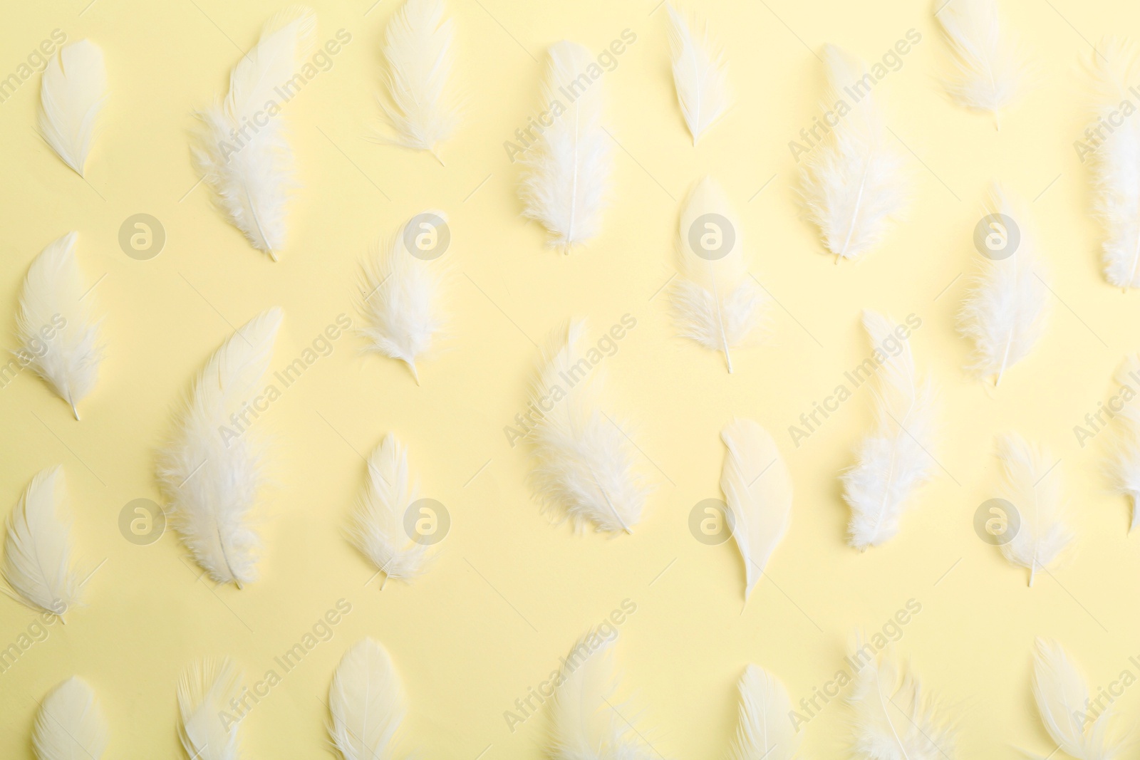 Photo of Beautiful fluffy feathers on beige background, flat lay