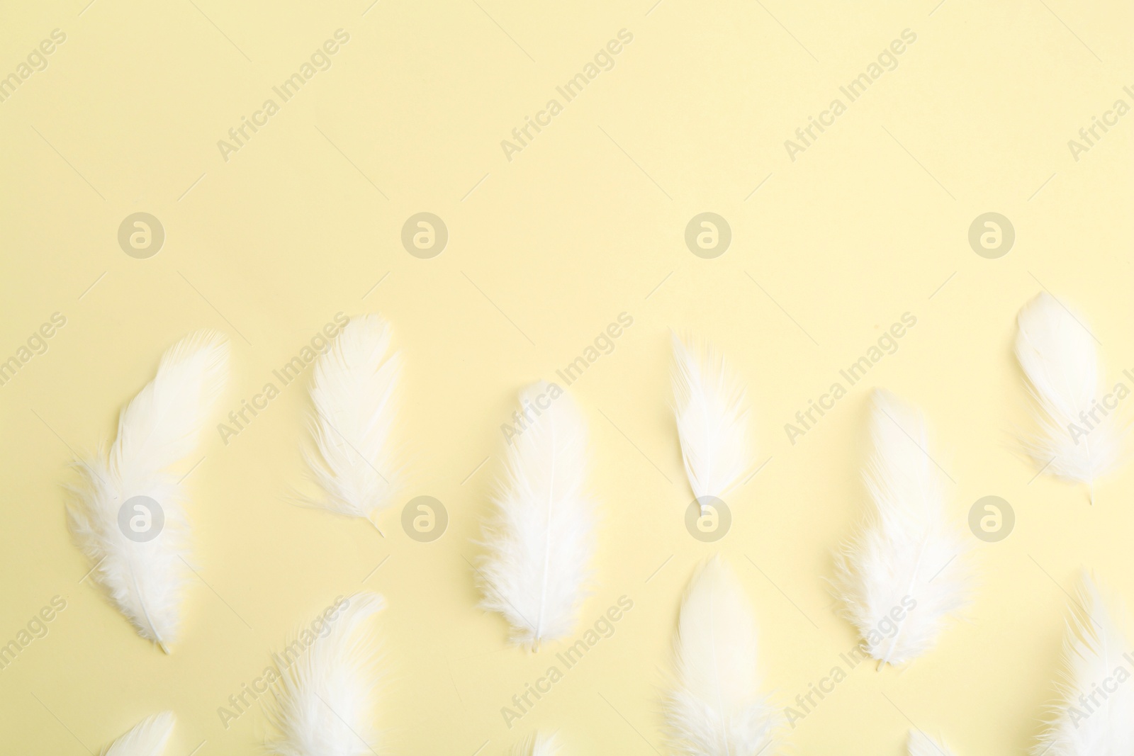 Photo of Beautiful fluffy feathers on beige background, flat lay