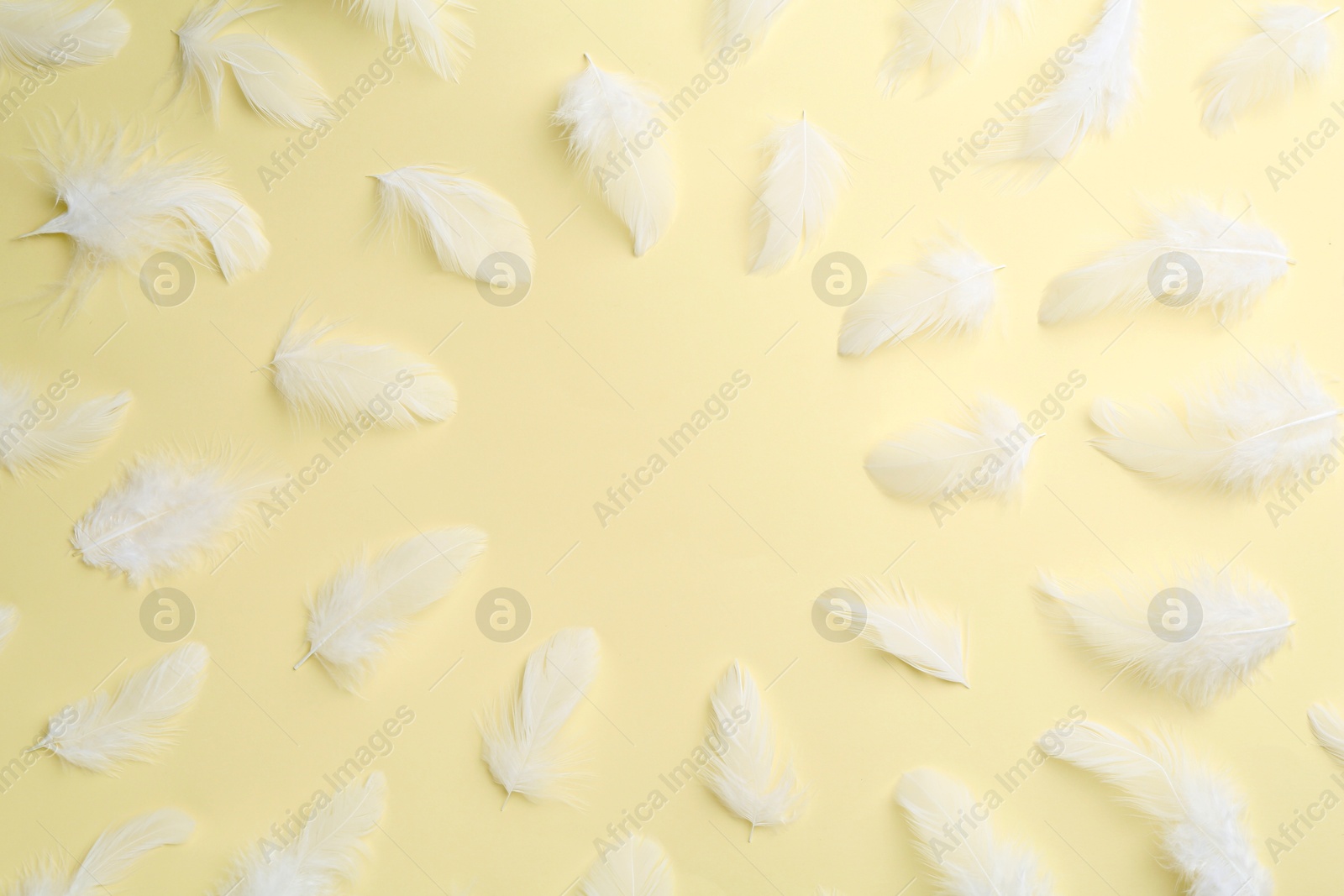 Photo of Beautiful fluffy feathers on beige background, flat lay