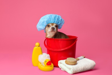 Photo of Cute funny dog with shower cap and different accessories for bathing on pink background