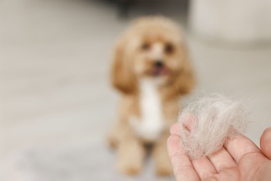 Photo of Woman with pet's hair and dog indoors, selective focus. Space for text