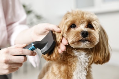 Photo of Woman brushing dog's hair against blurred background, closeup. Pet grooming