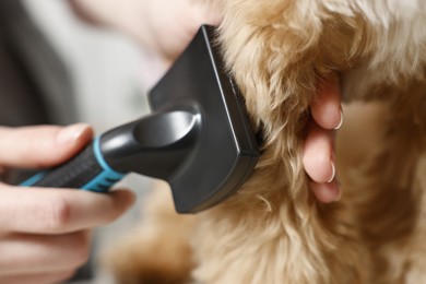 Photo of Woman brushing dog's hair against blurred background, closeup. Pet grooming