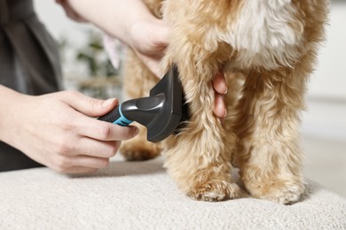 Photo of Woman brushing dog's hair at pouf indoors, closeup. Pet grooming