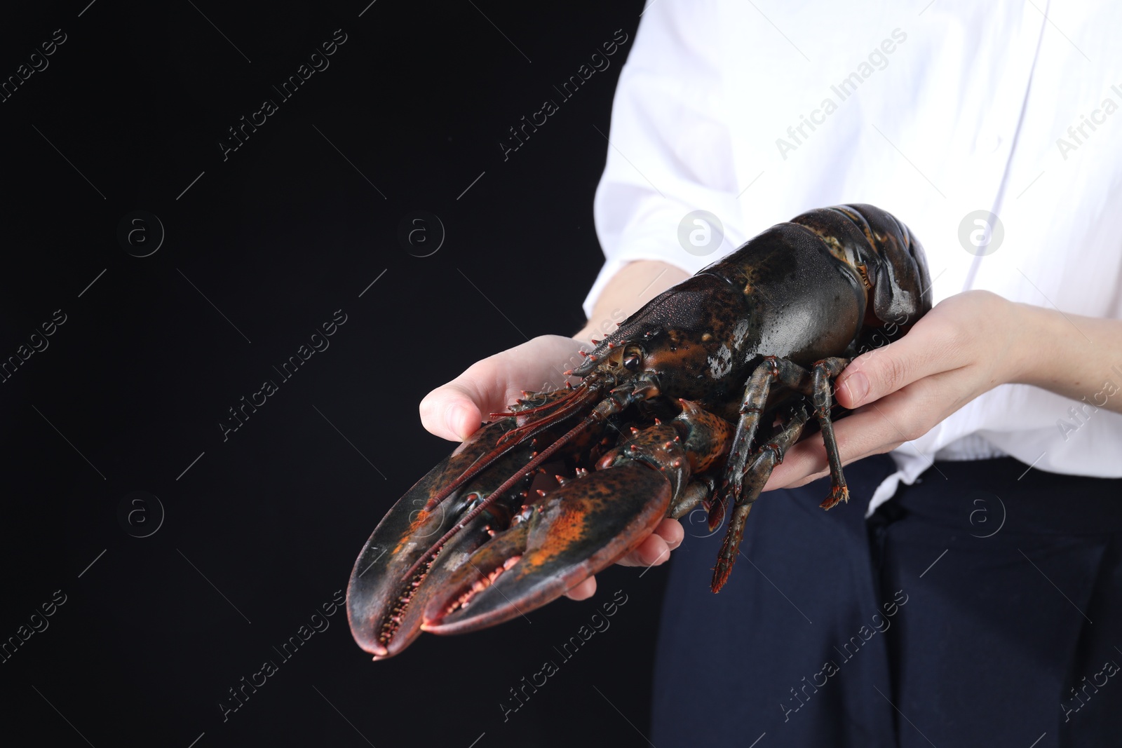 Photo of Woman with raw lobster on black background, closeup. Space for text