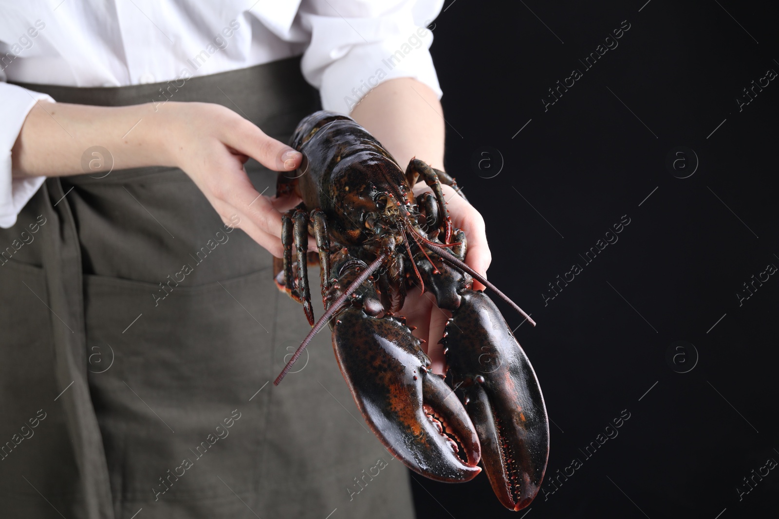 Photo of Woman with raw lobster on black background, closeup. Space for text