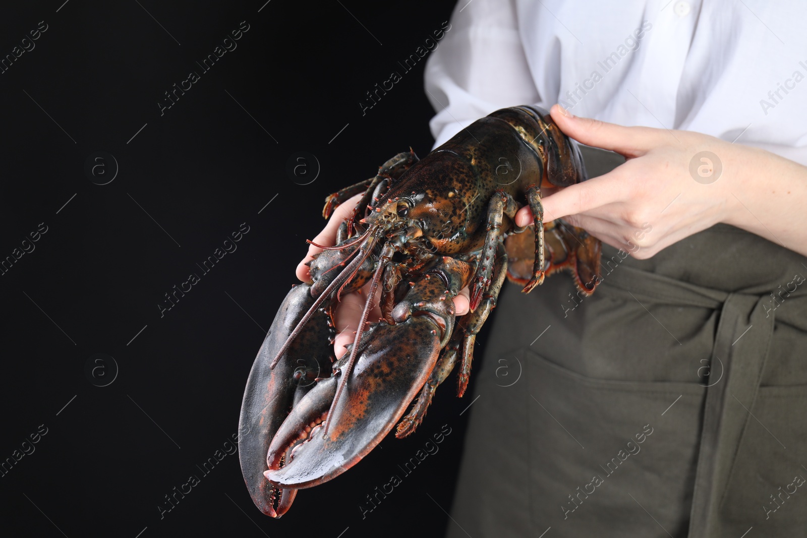 Photo of Woman with raw lobster on black background, closeup. Space for text