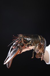 Photo of Woman with raw lobster on black background, closeup