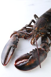 Photo of One raw lobster on white marble table, closeup