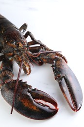 Photo of One raw lobster on white marble table, closeup