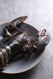 Photo of One raw lobster on grey table, closeup