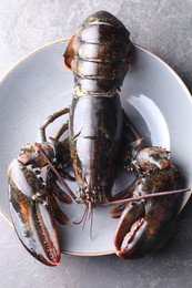 Photo of One raw lobster on grey table, top view