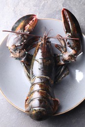 Photo of One raw lobster on grey table, above view