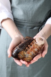 Photo of Woman with raw lobster tails, closeup. Sea food