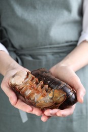 Photo of Woman with raw lobster tails, closeup. Sea food