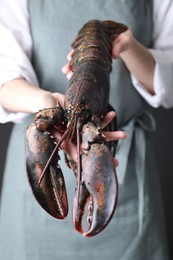 Photo of Woman with raw lobster, closeup. Sea food