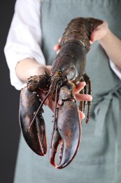 Photo of Woman with raw lobster on black background, closeup