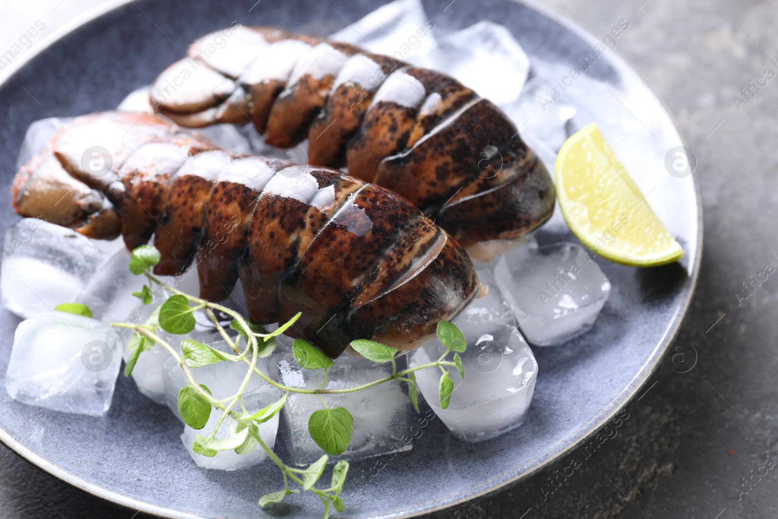 Photo of Raw lobster tails with microgreens, lime and ice on grey table, closeup