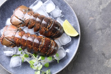 Photo of Raw lobster tails with microgreens, lime and ice on grey table, top view. Space for text