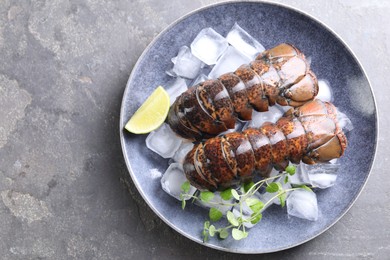 Photo of Raw lobster tails with microgreens, lime and ice on grey table, top view. Space for text