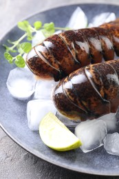 Photo of Raw lobster tails with microgreens, lime and ice on grey table, closeup