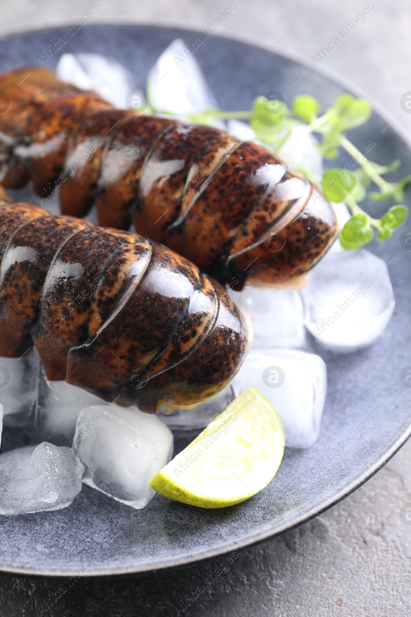 Photo of Raw lobster tails with microgreens, lime and ice on grey table, closeup