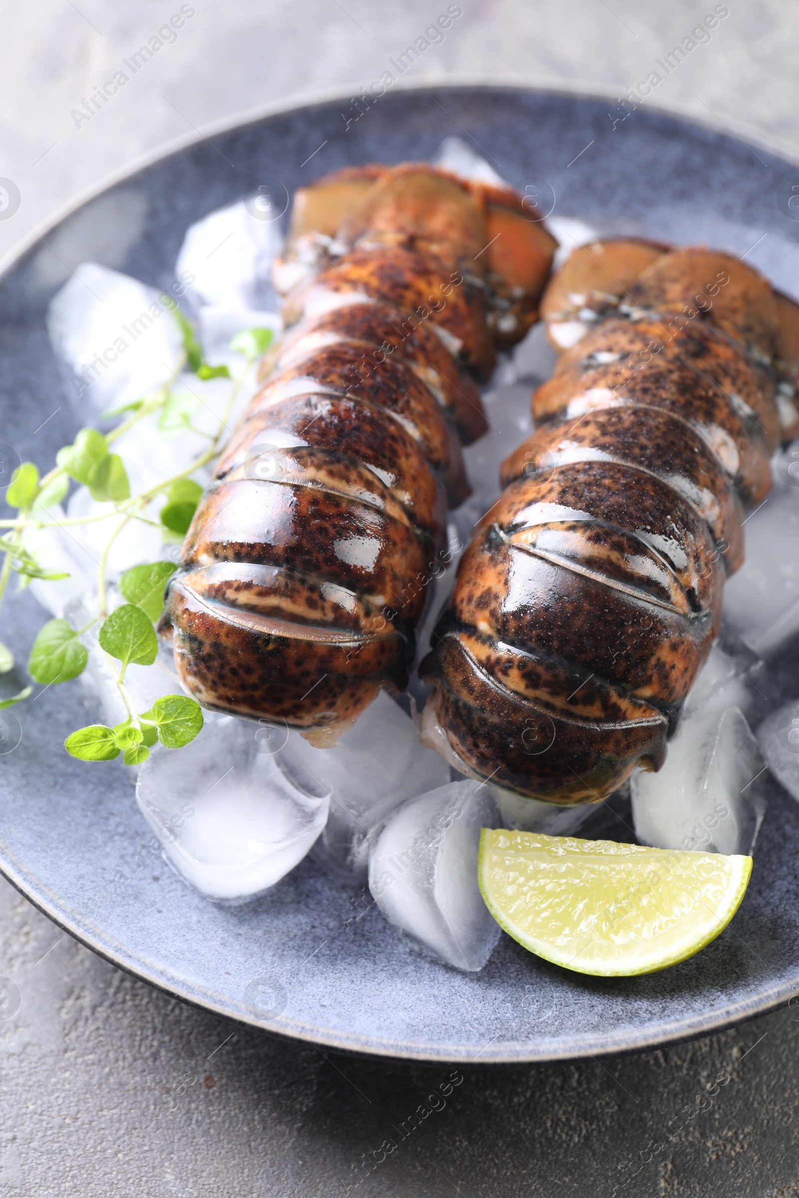 Photo of Raw lobster tails with microgreens, lime and ice on grey table, closeup