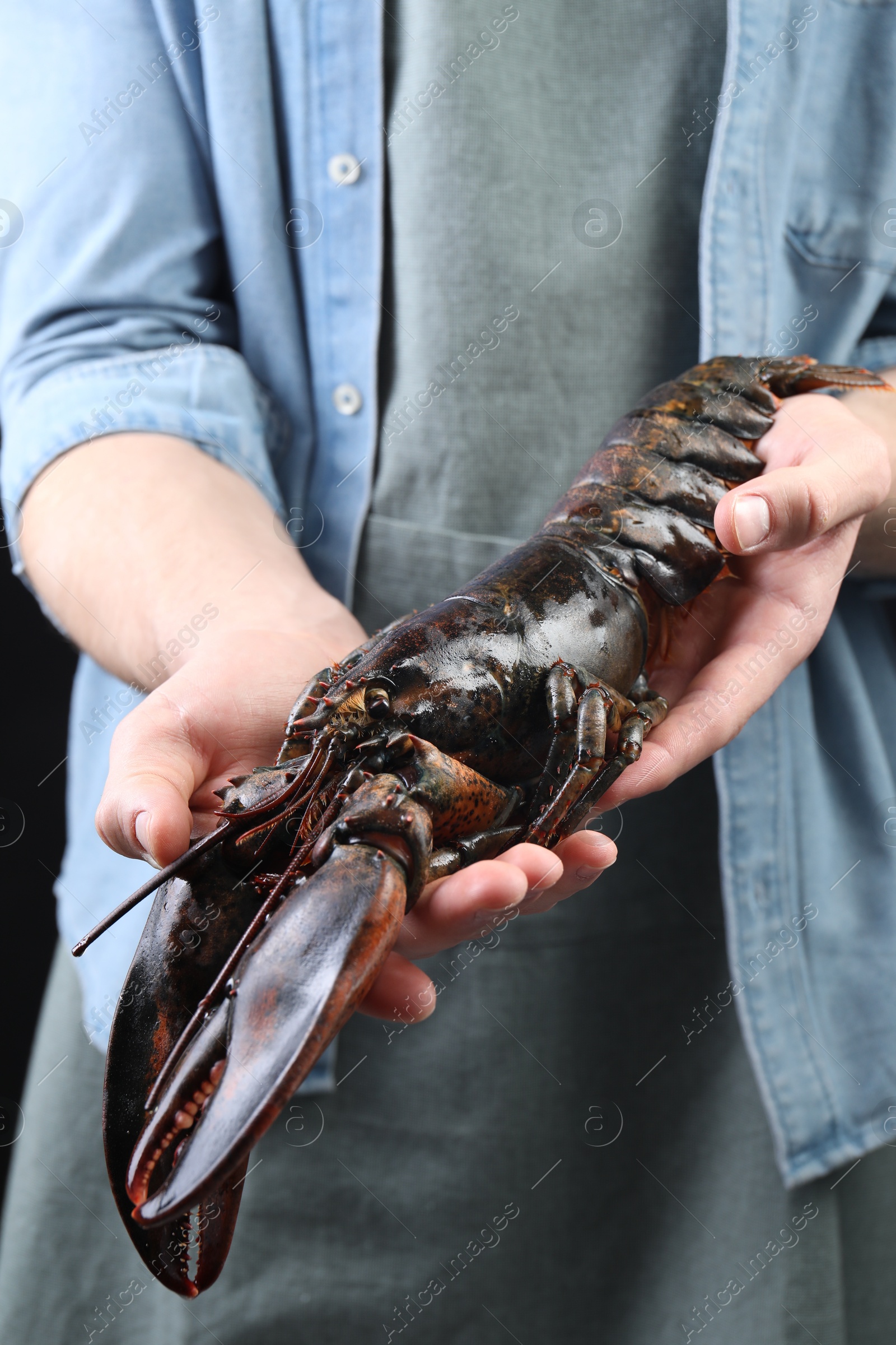 Photo of Man with raw lobster, closeup. Sea food