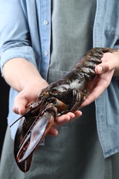 Photo of Man with raw lobster, closeup. Sea food