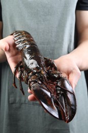 Man with raw lobster, closeup. Sea food