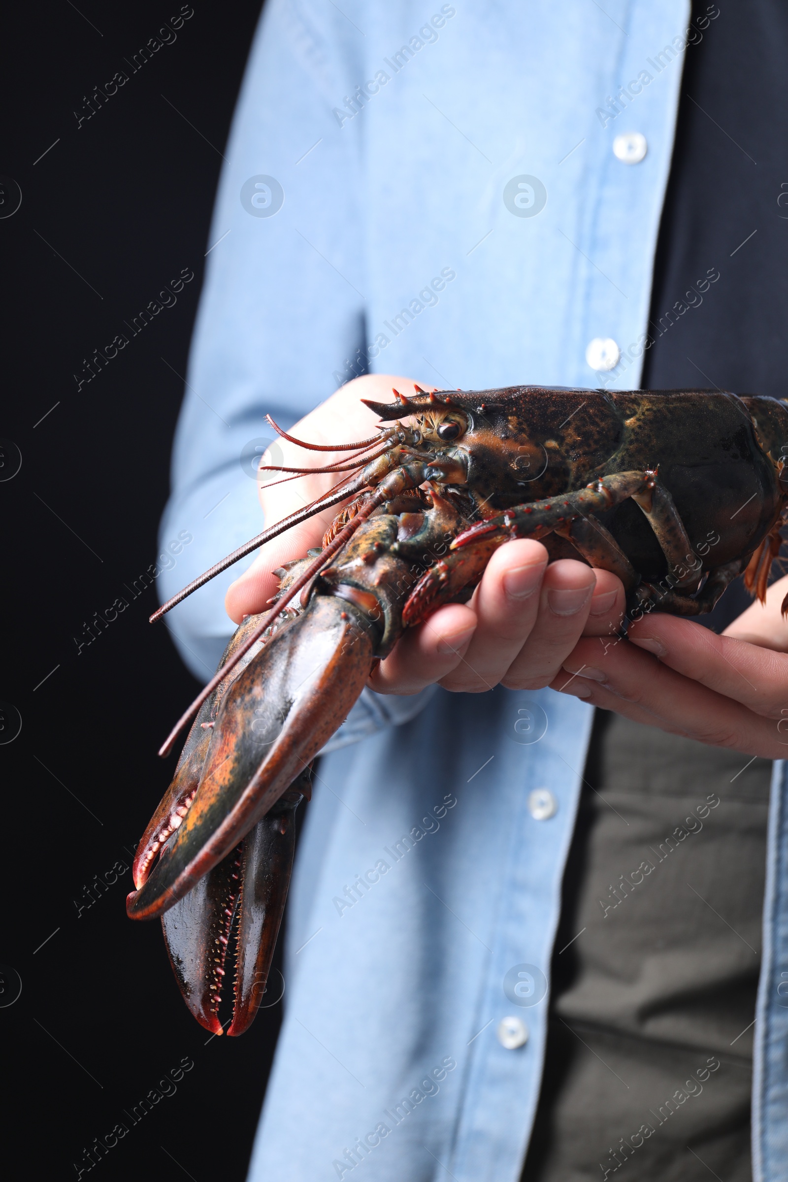 Photo of Man with raw lobster on black background, closeup