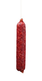 Photo of One delicious dry cured sausage isolated on white