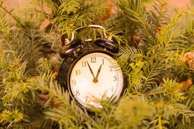 Photo of Alarm clock on beautiful green branches, closeup