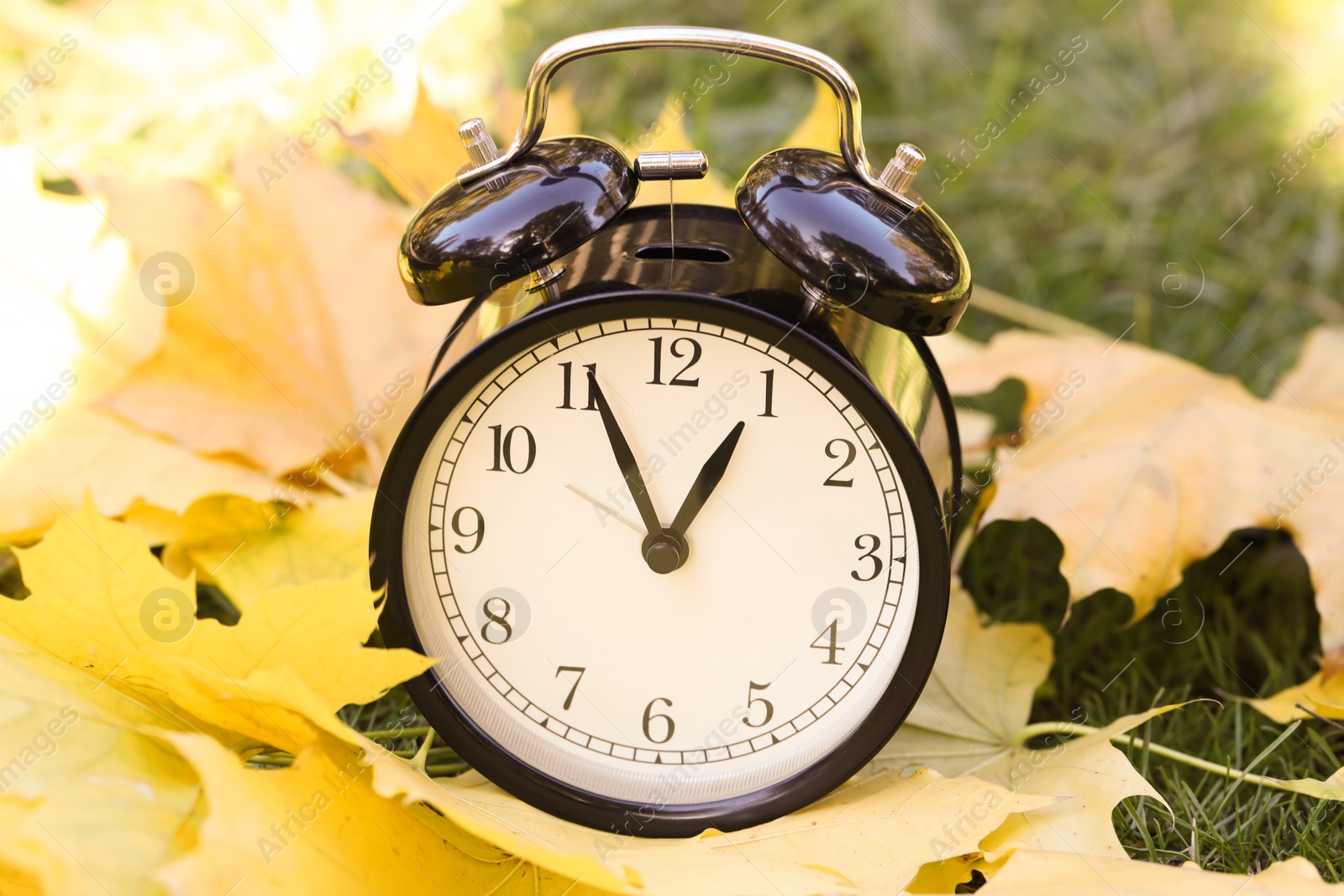 Photo of Autumn time. Alarm clock among fallen leaves on green grass, closeup