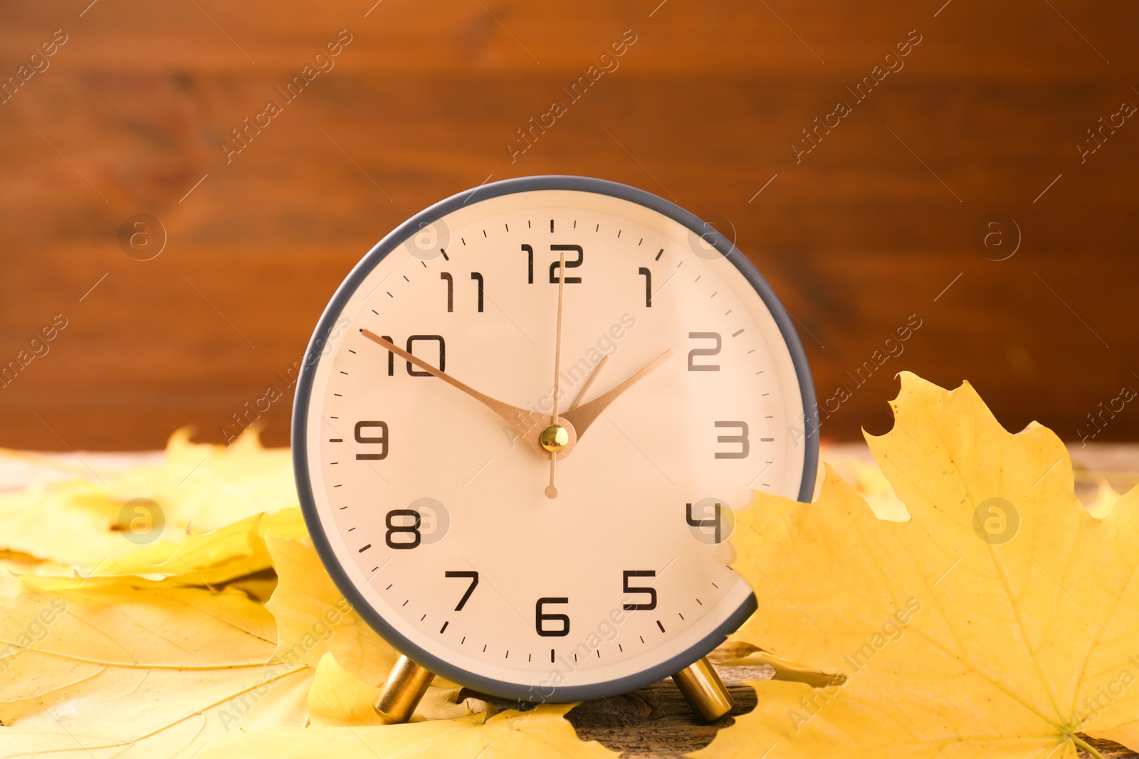 Photo of Autumn time. Alarm clock and leaves on wooden table, closeup