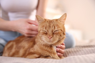 Photo of Woman stroking cute ginger cat on bed at home, closeup. Space for text