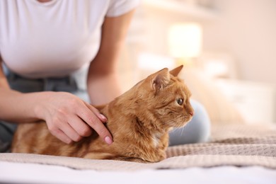 Photo of Woman stroking cute ginger cat on bed at home, closeup. Space for text