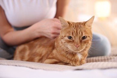 Photo of Woman stroking cute ginger cat on bed at home, closeup