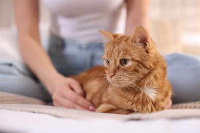 Photo of Woman with her cute ginger cat on bed at home, closeup