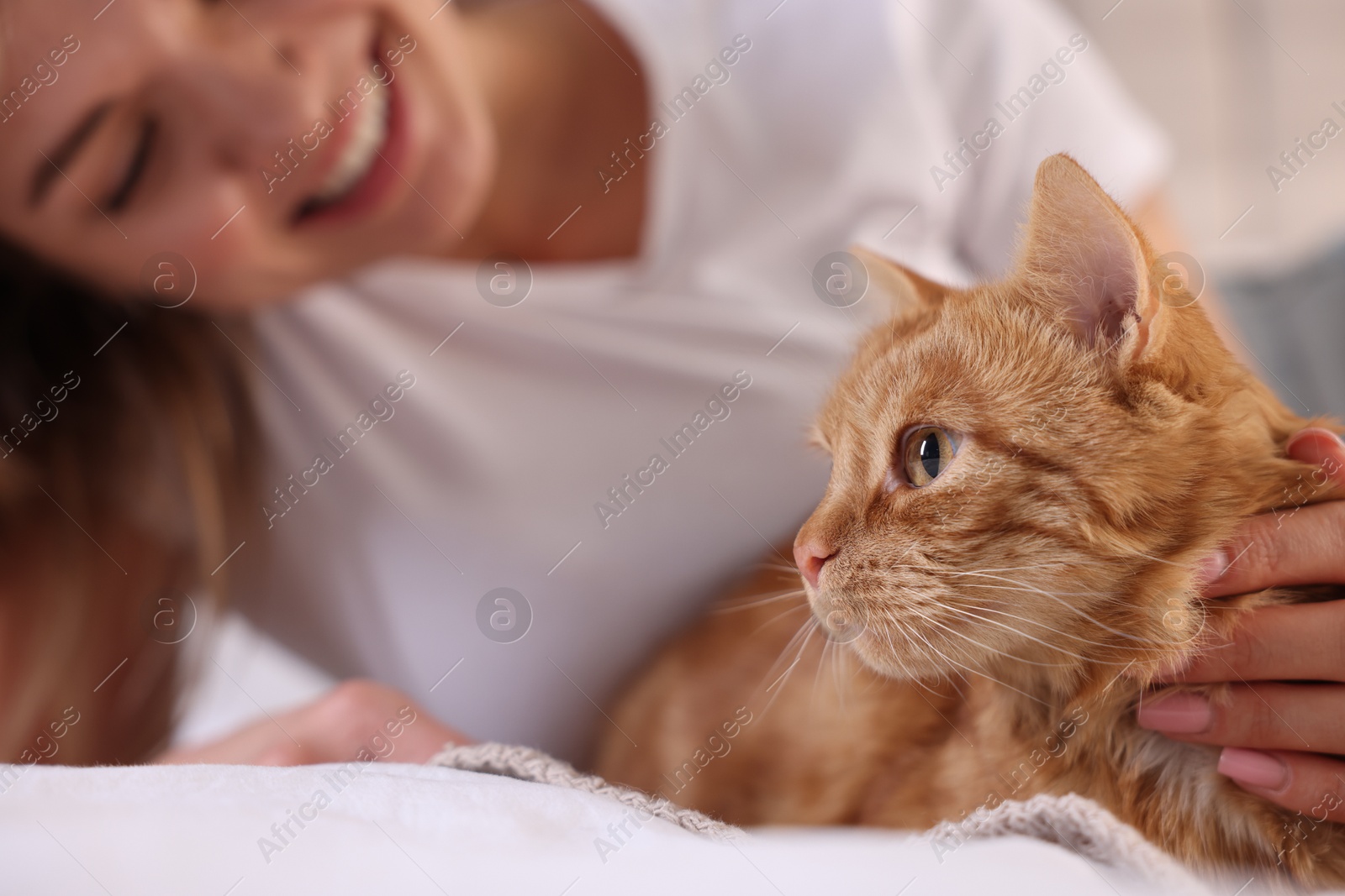 Photo of Woman with her cute ginger cat on bed at home, closeup