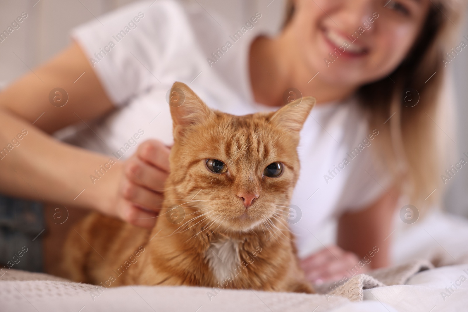 Photo of Woman stroking cute ginger cat on bed at home, selective focus