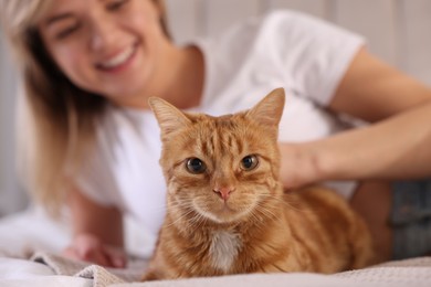 Photo of Woman stroking cute ginger cat on bed at home, selective focus