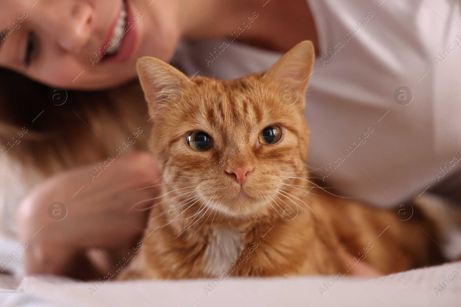 Photo of Woman with her cute ginger cat at home, closeup