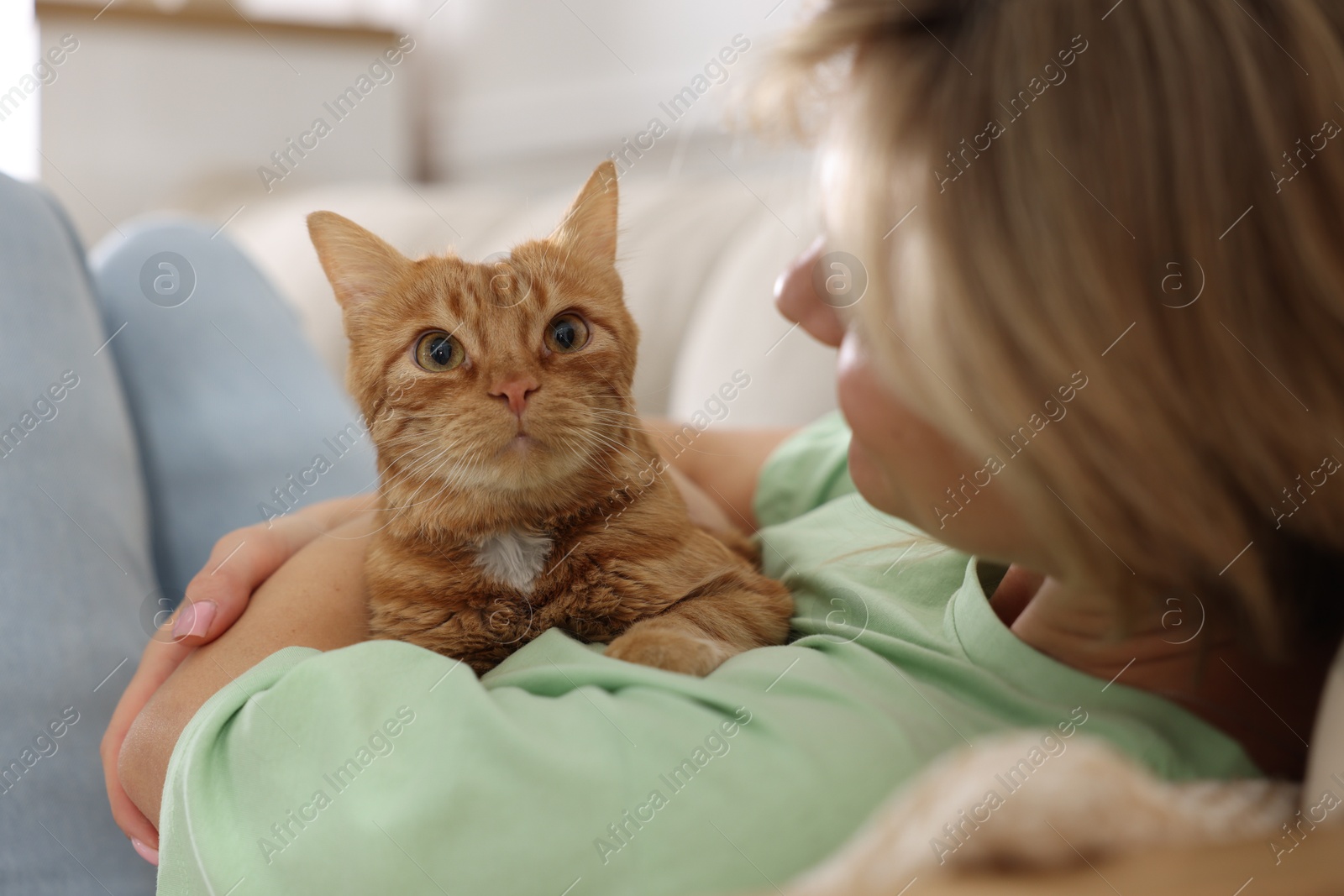 Photo of Woman with her cute ginger cat at home