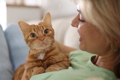 Photo of Woman with her cute ginger cat at home