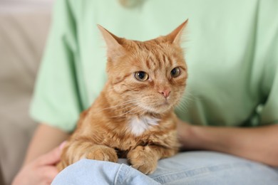 Photo of Woman with her cute ginger cat at home, closeup