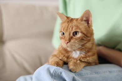 Photo of Woman with her cute ginger cat on sofa at home, closeup. Space for text